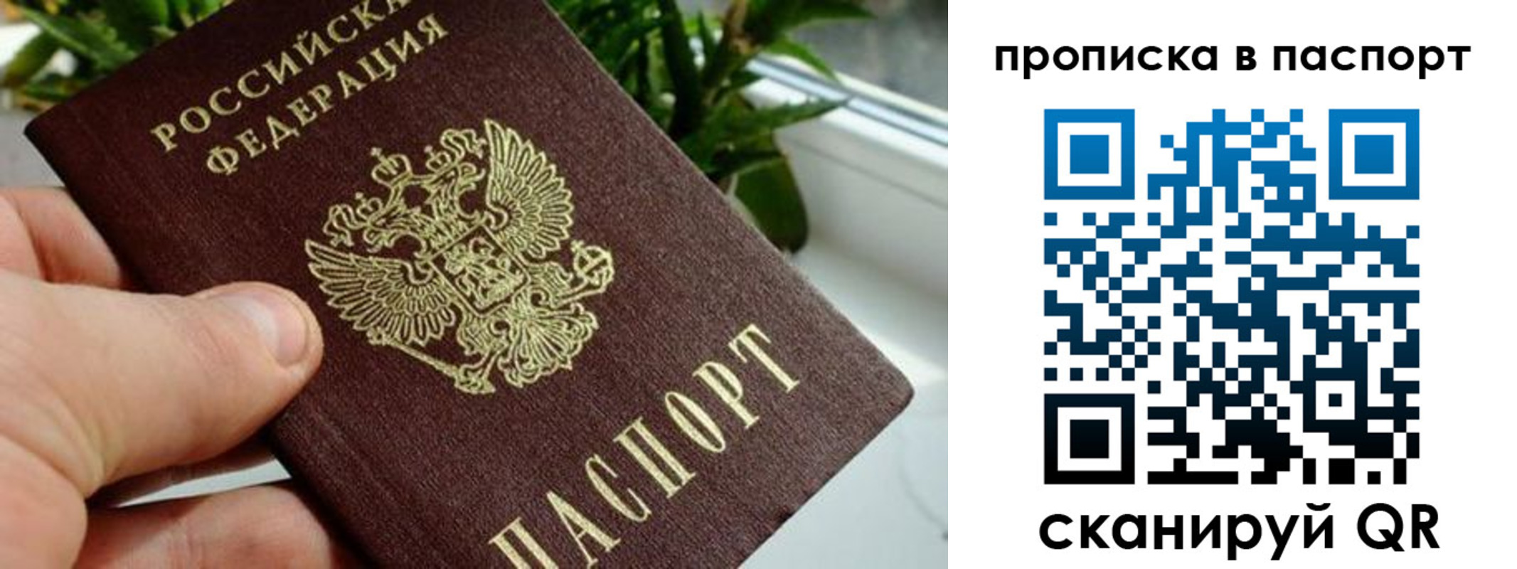 пропишу в квартире в Новомосковске