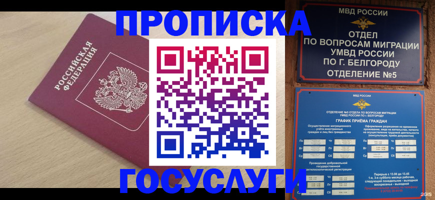 прописка законно в Новомосковске